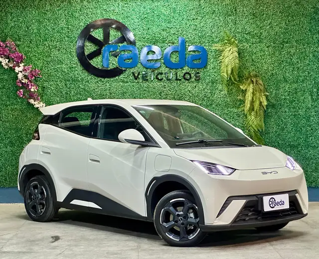 Carro BYD Dolphin 2024 EV