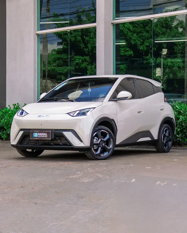 Carro BYD Dolphin Mini 2025 Elétrico