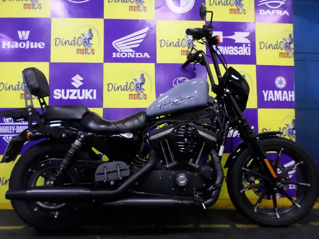 Moto Harley-Davidson Sportster XL 883 2016 Iron