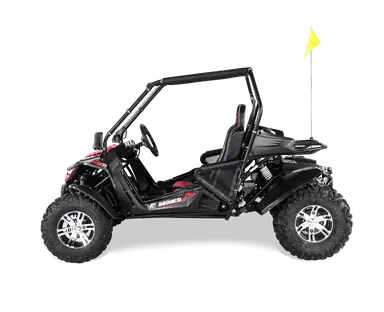 Categoria Buggy & UTV