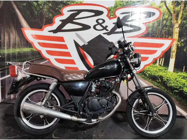 Moto Suzuki Intruder 2010 125