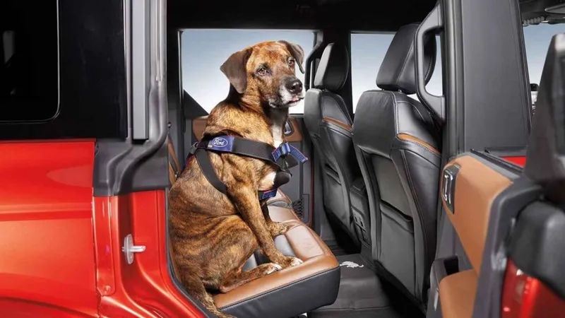 Carros para cachorros: como é a tecnologia da Ford para proteger animais 