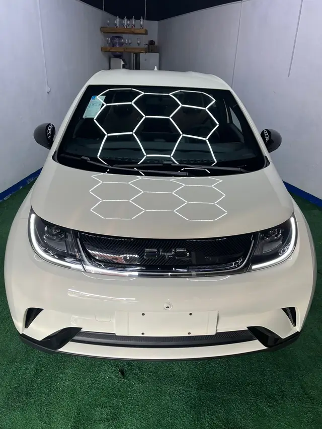 Carro BYD Dolphin 2026 GS