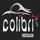 Imagem da loja COLIBRI VEICULOS - Vila Velha - ES
