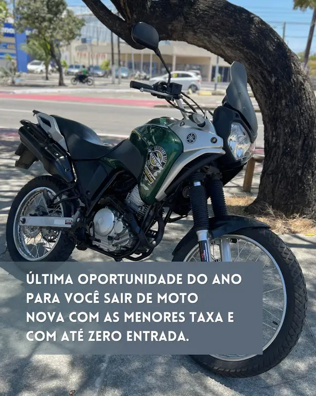 Moto Yamaha XTZ 250 Ténéré 2019 Blueflex