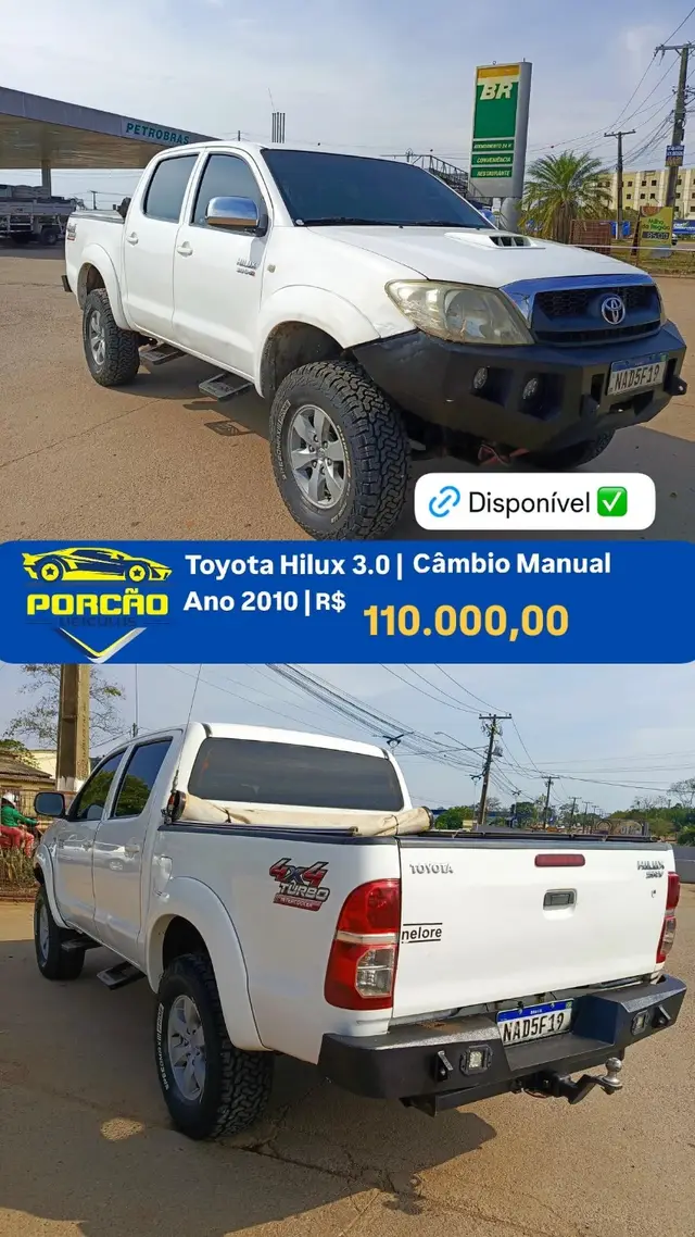 Carro Toyota Hilux Cabine Dupla 2010 Hilux SRV 4x4 3.0 (cab. dupla)