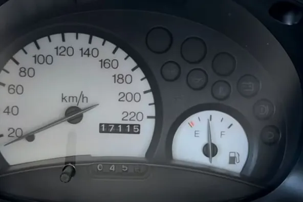 Reprodução/@raridadesdomonte