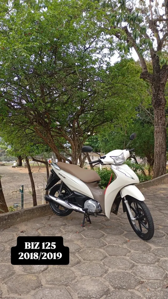 Moto Honda Biz 125 2019 Flex