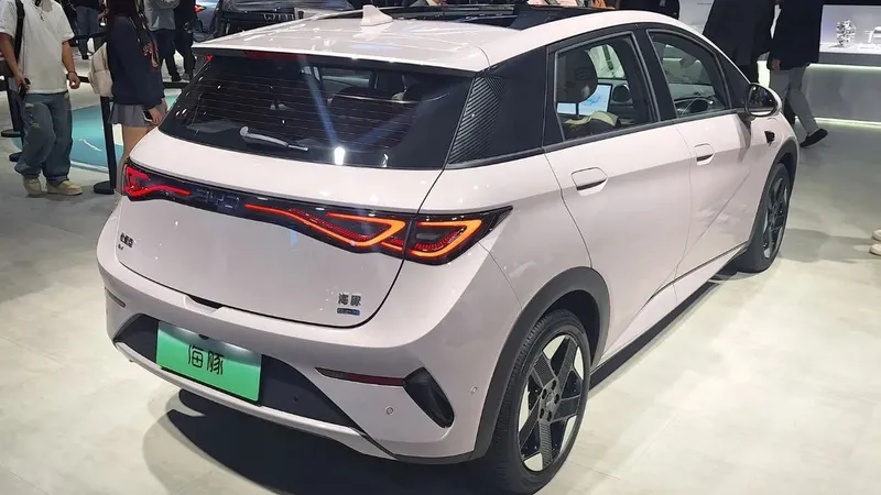 Novo BYD Dolphin é registrado no Brasil e tem item que ajuda contra o calor