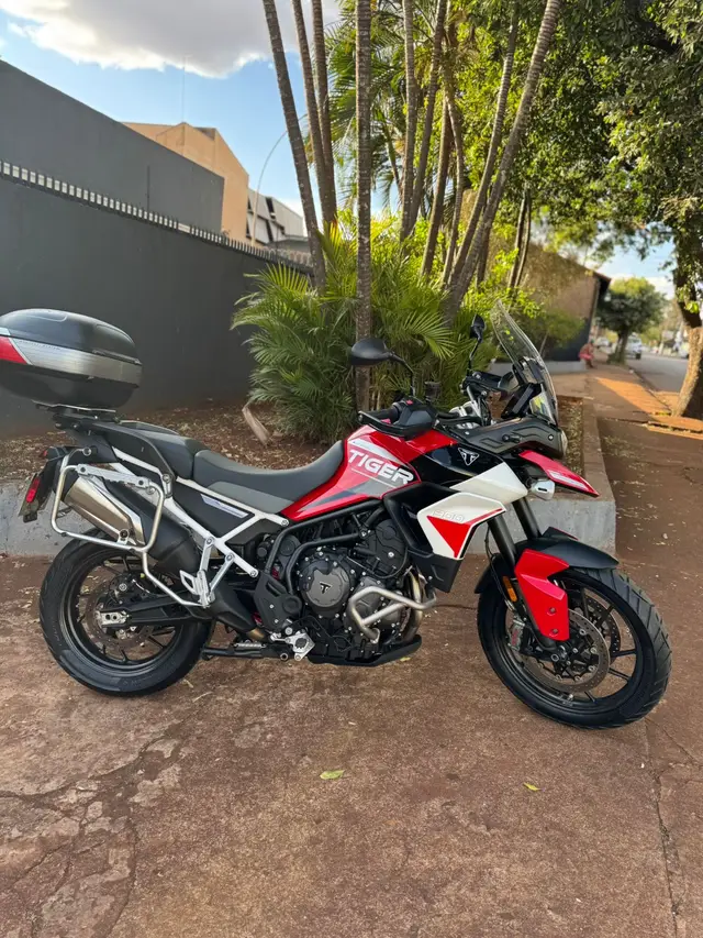 Moto Triumph Tiger 900 2024 GT Aragón Edition