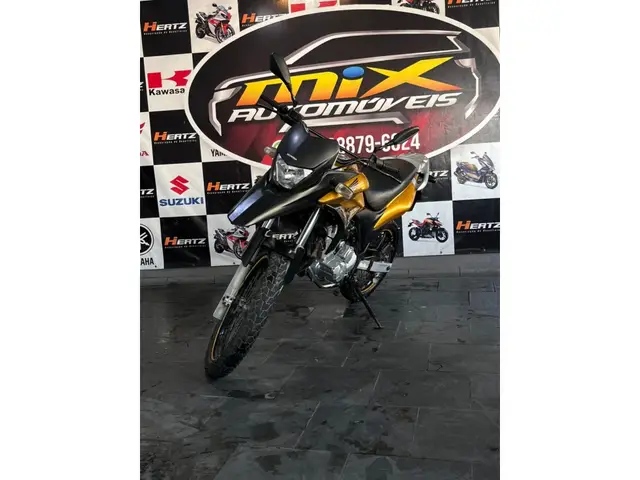 Moto Honda XRE 300 2010 (ABS)