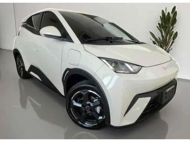 Carro BYD Dolphin Mini 2026 EV