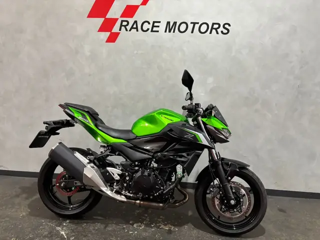 Moto Kawasaki Z 2025 500