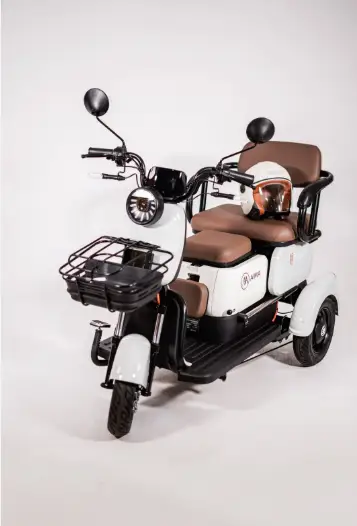 Moto MS Eletric MS 650 2026 650W