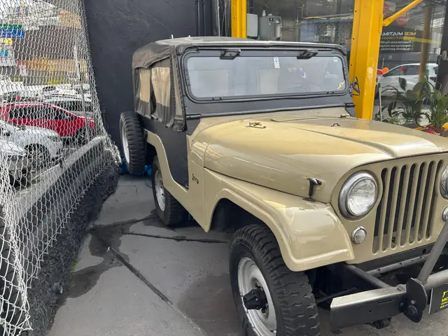 Carro Ford Jeep 1967 Willys