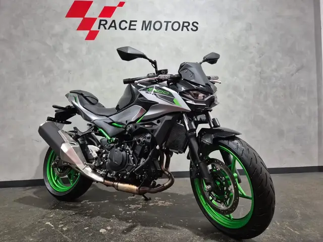 Moto Kawasaki Z 2025 500 SE