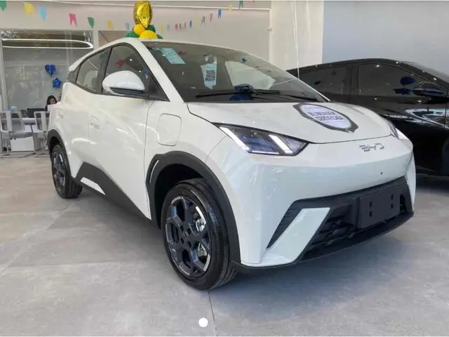 Carro BYD Dolphin Mini 2026 EV
