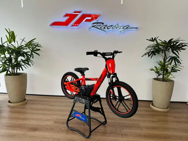 Moto MXF E-Biker 2025 16 PRO