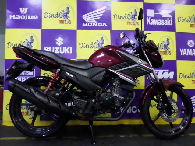 Moto Yamaha YS 150 Fazer 2018 SED