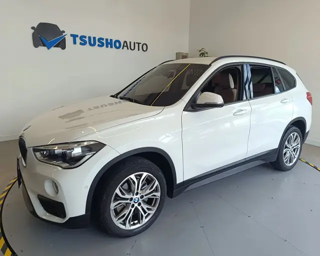 Carro BMW X1 2019 2.0 sDrive20i GP ActiveFlex