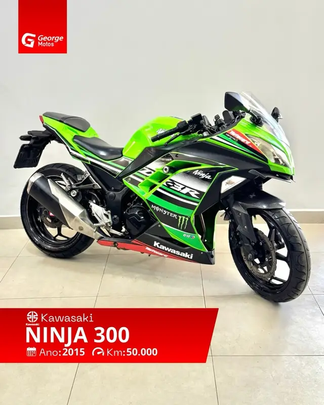 Moto Kawasaki Ninja 2015 300 (ABS)