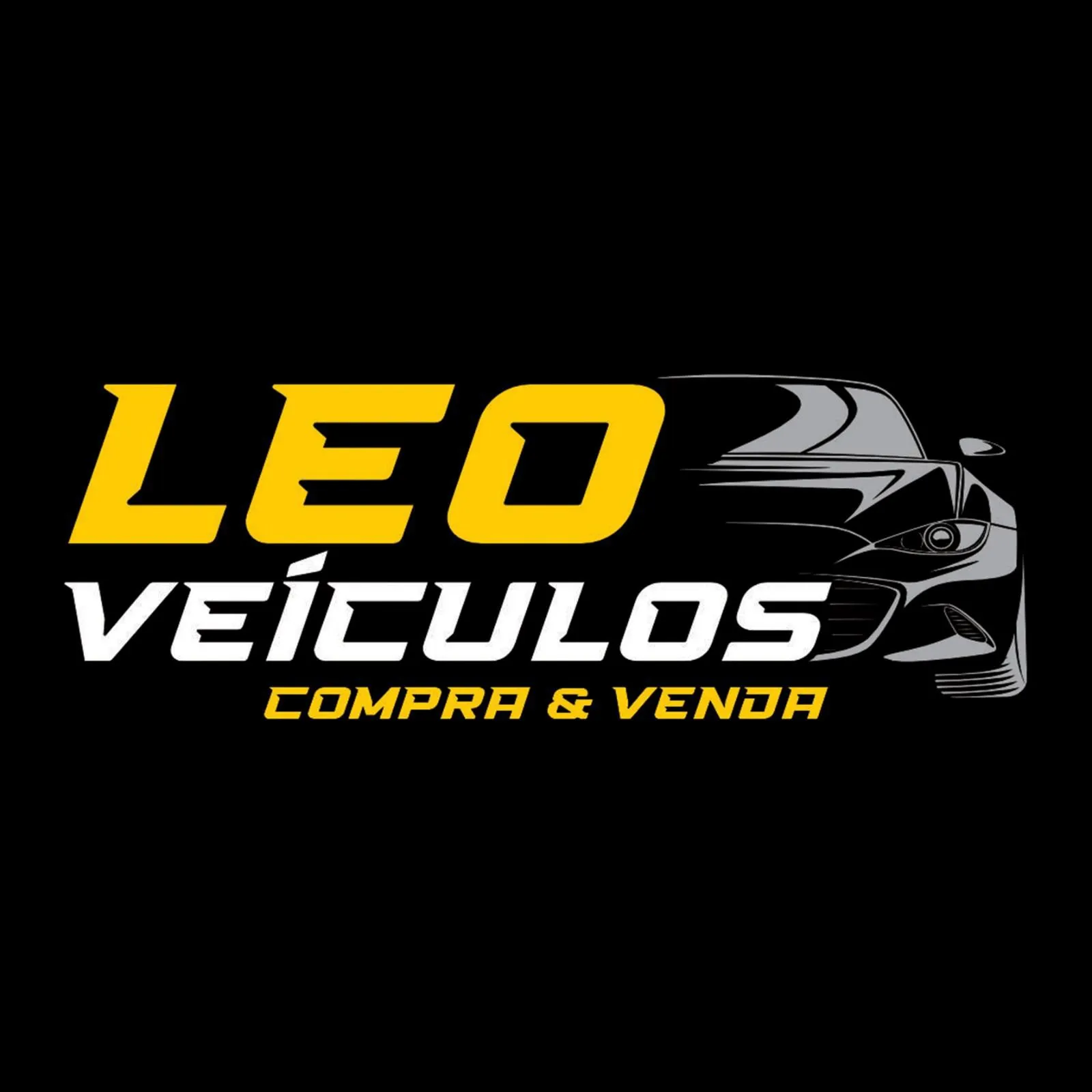 LEO VEICULOS