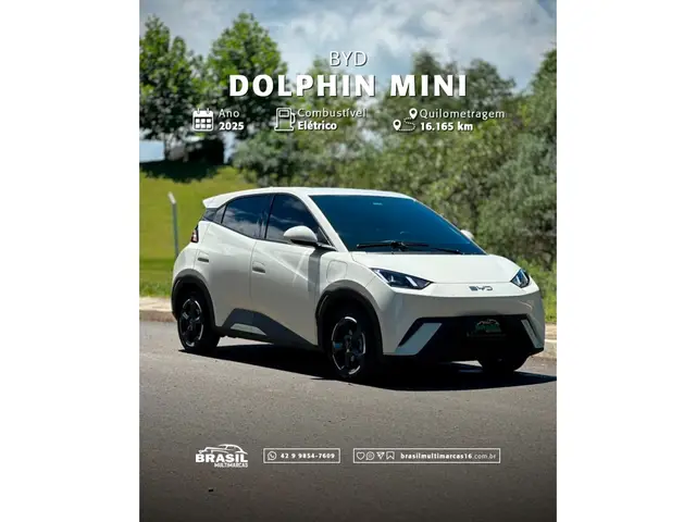 Carro BYD Dolphin Mini 2025 EV