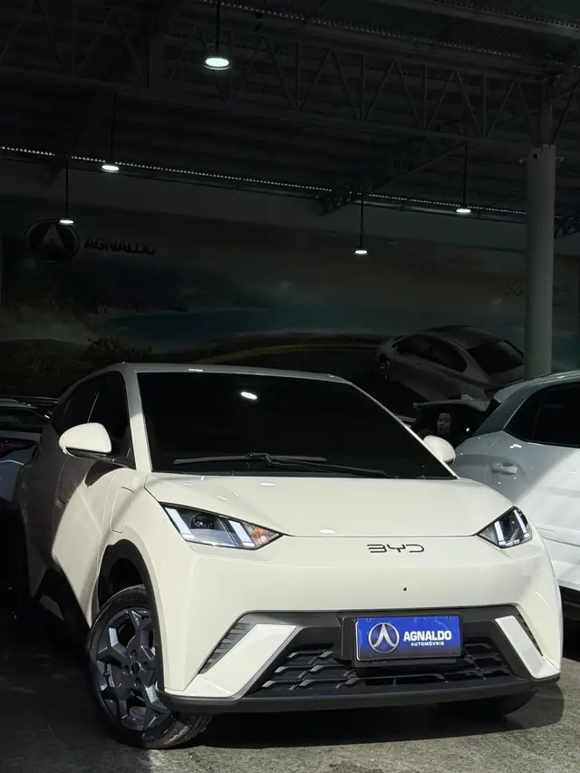 Carro BYD Dolphin Mini 2026 EV