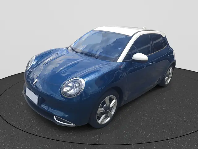 Carro GWM Ora 03 2024 Skin