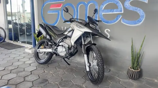 Moto Honda XRE 300 2018 (ABS) (Flex)