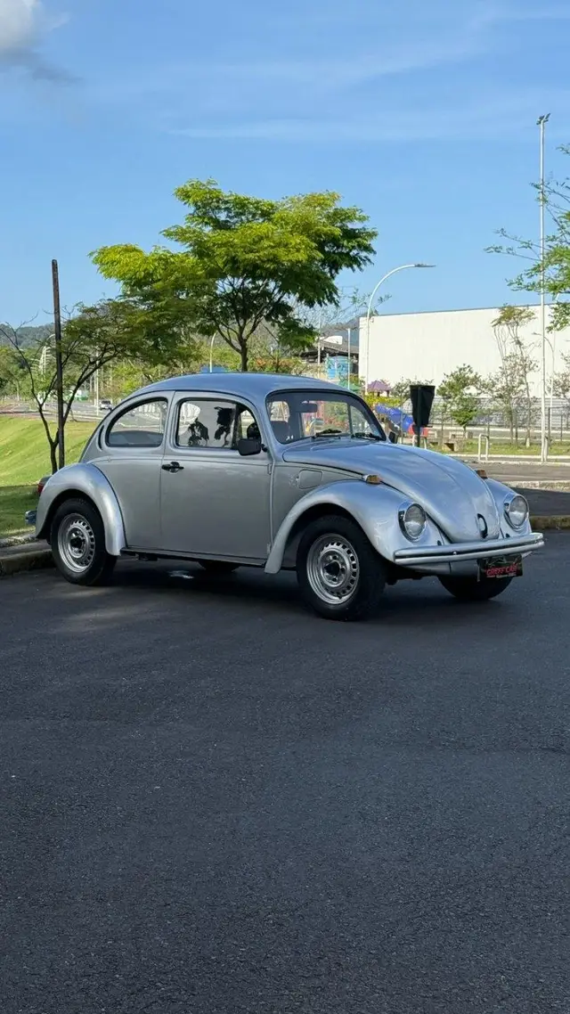 Carro Volkswagen Fusca 1996 1600