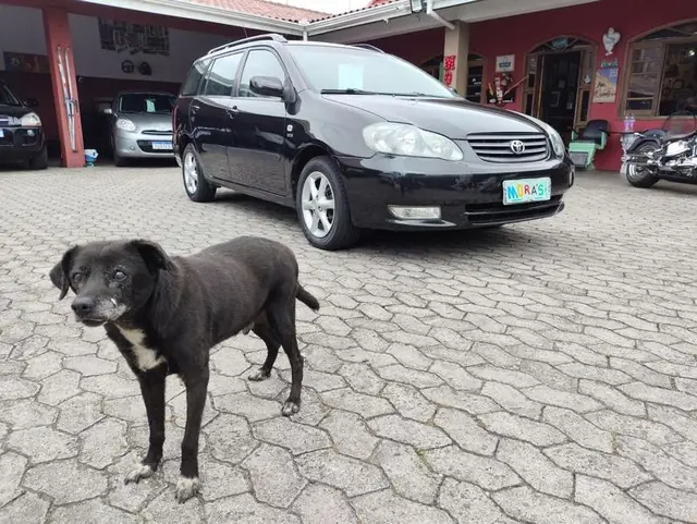 Carro Toyota Fielder 2007 1.8 16V (aut)