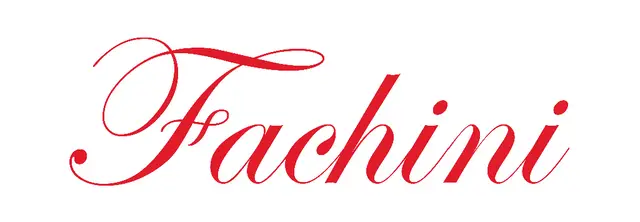 Carro BYD Dolphin Mini 2025 Elétrico