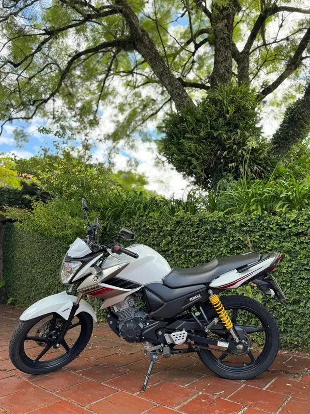 Moto Yamaha YS 150 Fazer 2019 SED