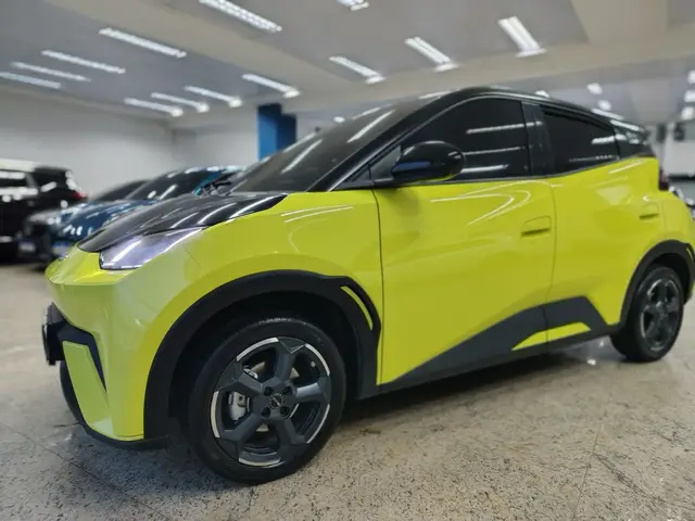 Carro BYD Dolphin Mini 2025 EV