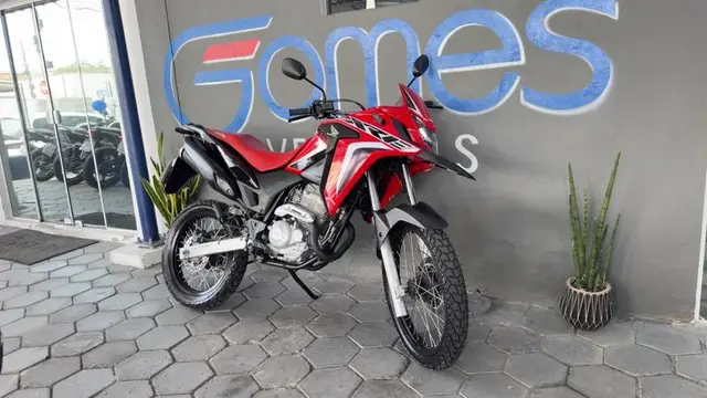 Moto Honda XRE 300 2022 Rally (Flex)