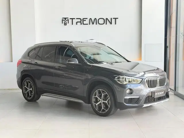 Carro BMW X1 2018 2.0 sDrive20i X-Line ActiveFlex