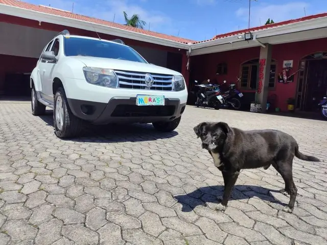 Carro Renault Duster 2015 Outdoor 1.6 16V (Flex)