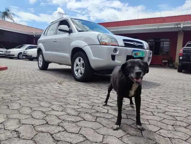 Carro Hyundai Tucson 2010 GL 2.0 16V
