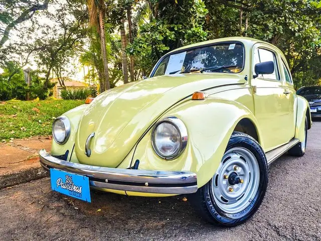 Carro Volkswagen Fusca 1980 1500