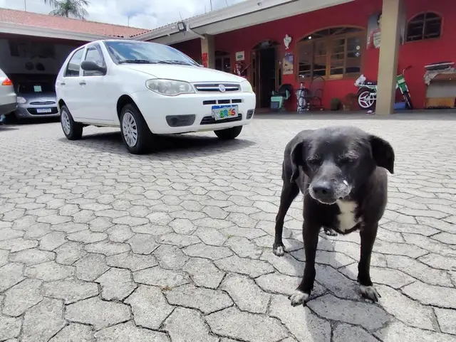 Carro Fiat Palio 2012 1.0 Cel. ECON./ITALIA F.Flex 8V 4p