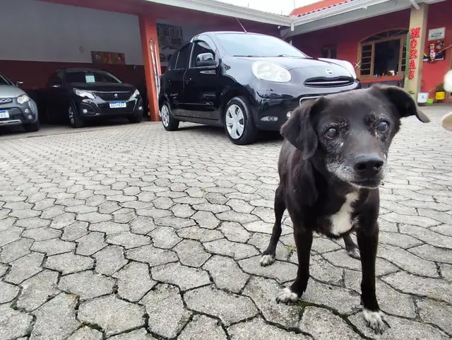 Carro Nissan March 2014 1.6 16V S (Flex)