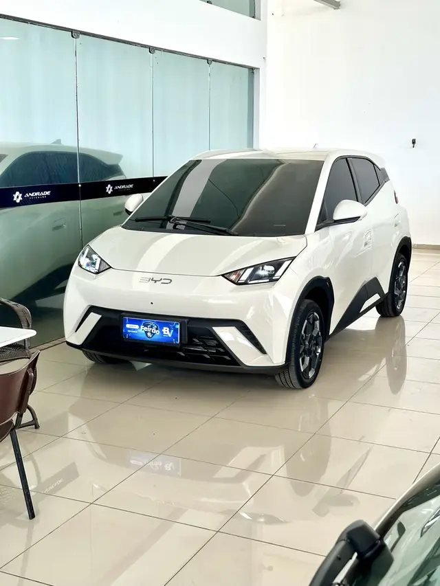 Carro BYD Dolphin Mini 2026 EV