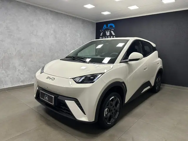 Carro BYD Dolphin Mini 2026 EV