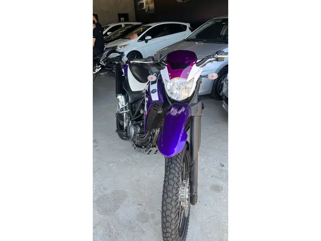 Moto Yamaha XT 660 R 2010 660 cc