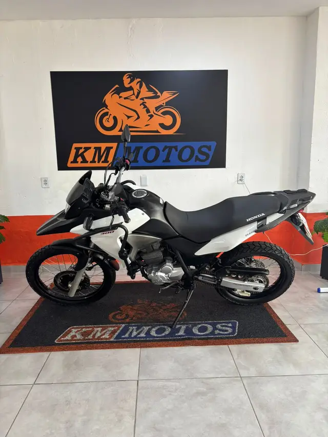Moto Honda XRE 300 2016 (ABS) (Flex)