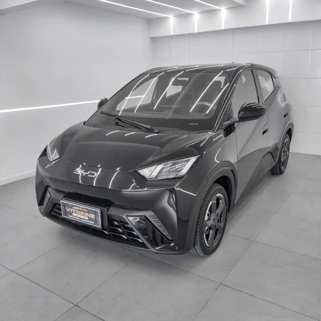 Carro BYD Dolphin Mini 2025 EV