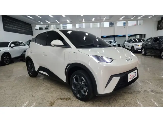 Carro BYD Dolphin Mini 2026 EV