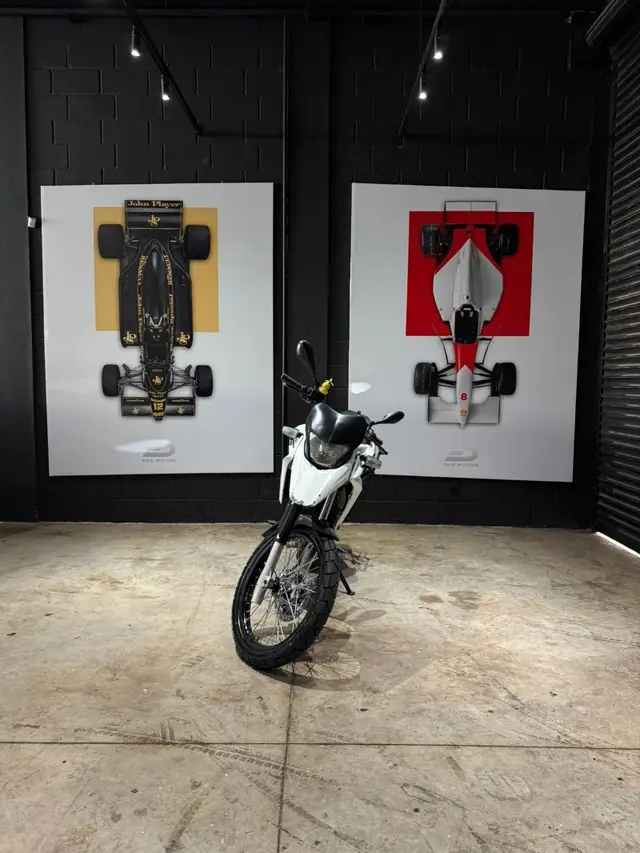 Moto Honda XRE 300 2014 (Flex)