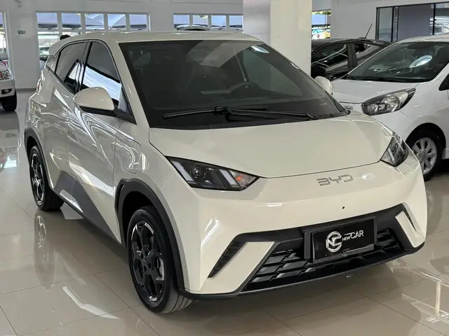 Carro BYD Dolphin Mini 2026 EV